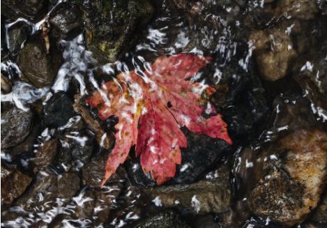 水質(zhì)在線監(jiān)測常見的水污染指標有哪些? 水質(zhì)在線監(jiān)測常見的水污染指標有哪些?